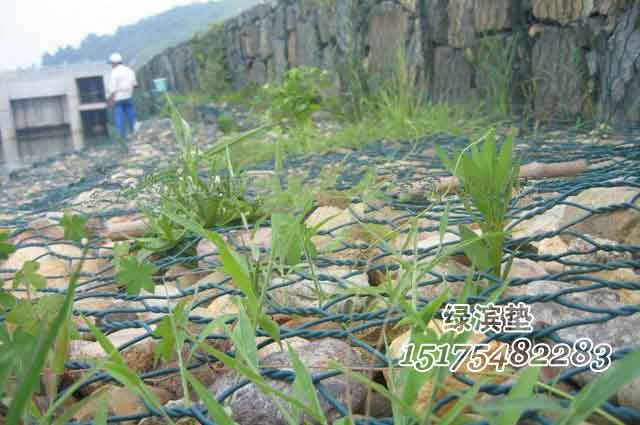 覆塑雷诺护垫